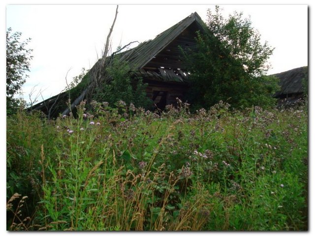 Август 2008г. Д. Копытёнки.