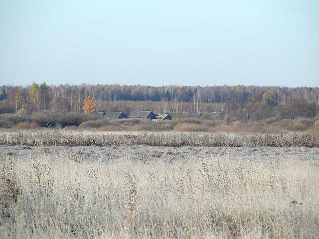 В Сысуях, что на речке Шклее, печные трубы уже не дымят и по ночам света не видно.