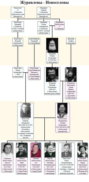 Наша родословная начинается в Новоселах. Сокращенная версия.